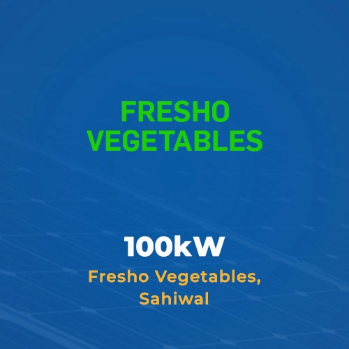 29Nov Project logo 07 Trisun 24